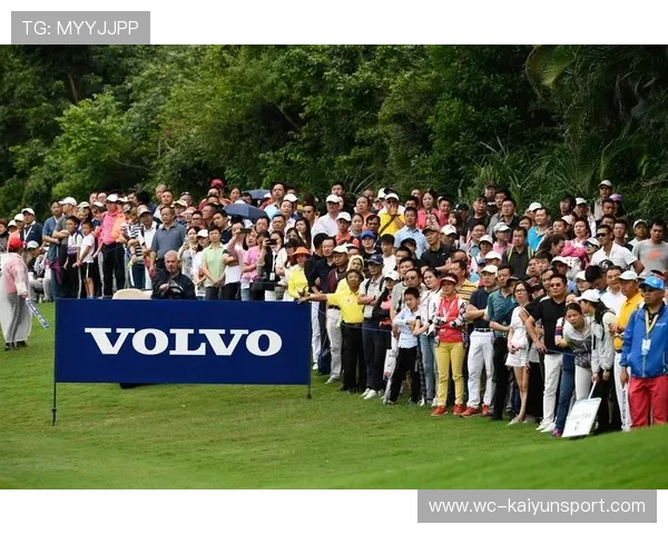 联赛焦点赛事观众人数创纪录，联赛焦点赛事观众人数创纪录分析