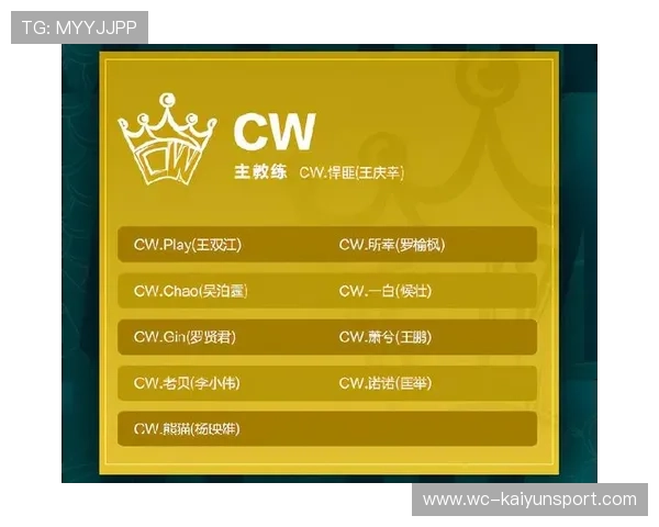 职业联赛的规则执行差异