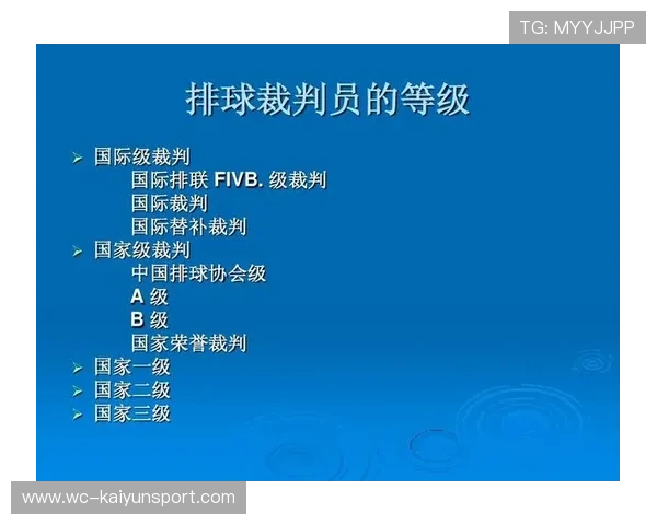 国际排球赛事裁判技术统计可视化产品用户调研报告,排球裁判官网 国际排球赛事裁判技术统计可视化产品用户调研报告,排球裁判官网