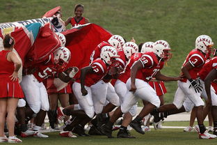 开云竞猜官网-印度继续保持连胜，主帅称尚未满足，印度21人对战数万人